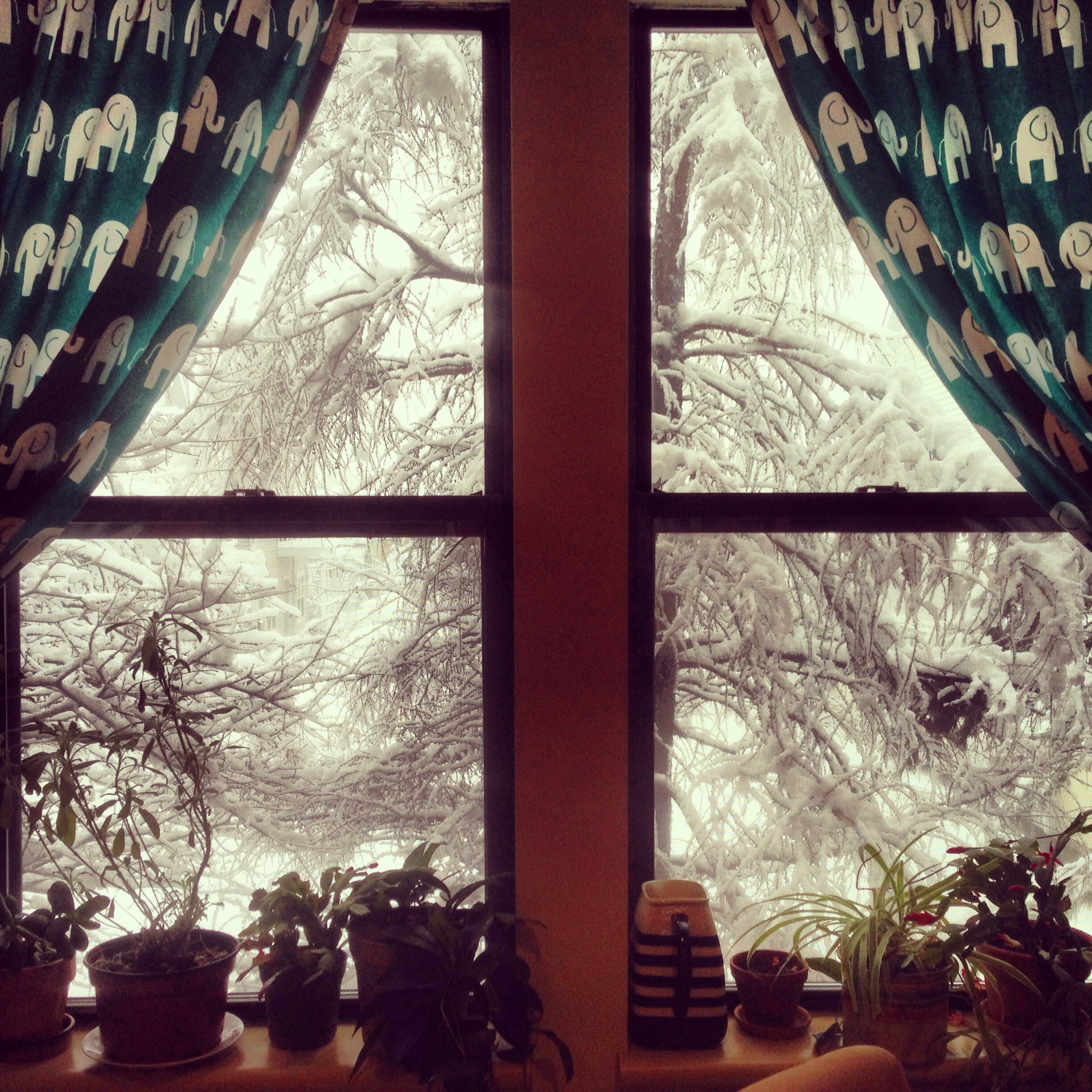 winter kitchen curtains