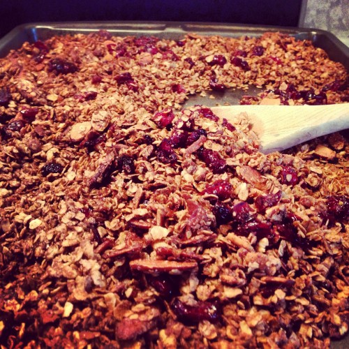 dried cranberry and almond granola