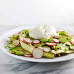 Shaved Asparagus, Radish, Snap Pea, and Cucumber Salad with Burrata